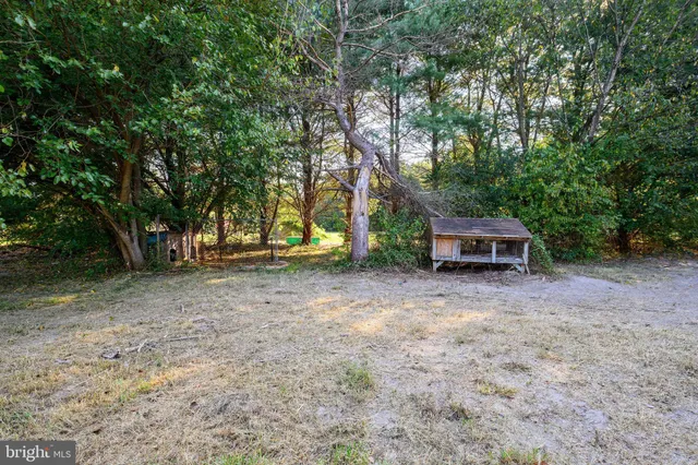 a backyard of a house with large trees and wooden fence