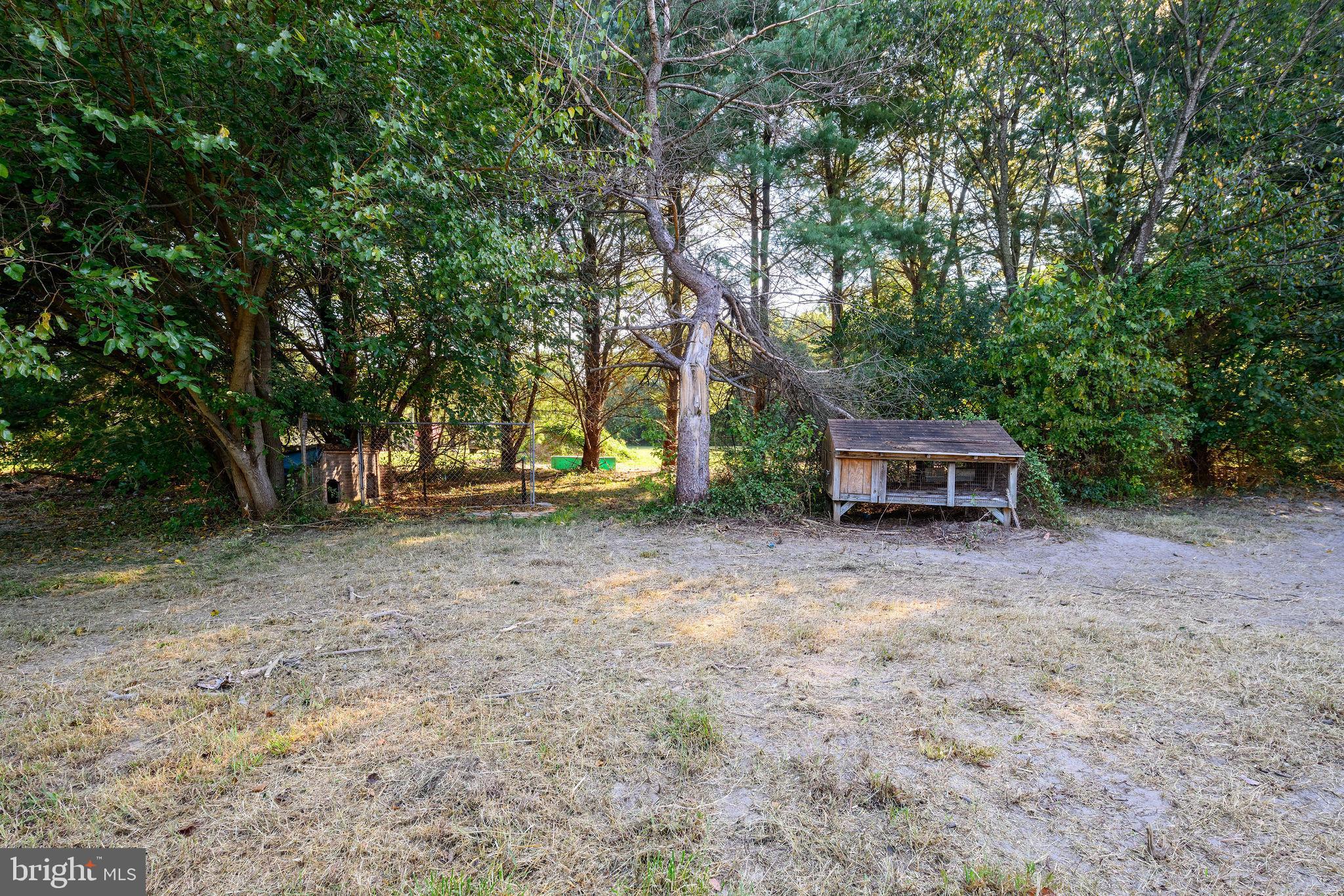 3182 Gun And Rod Club Road Houston, DE 19954 - Photo 19 of 32 a view of a house with backyard space