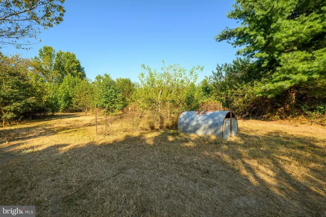 a view of a yard with a tree