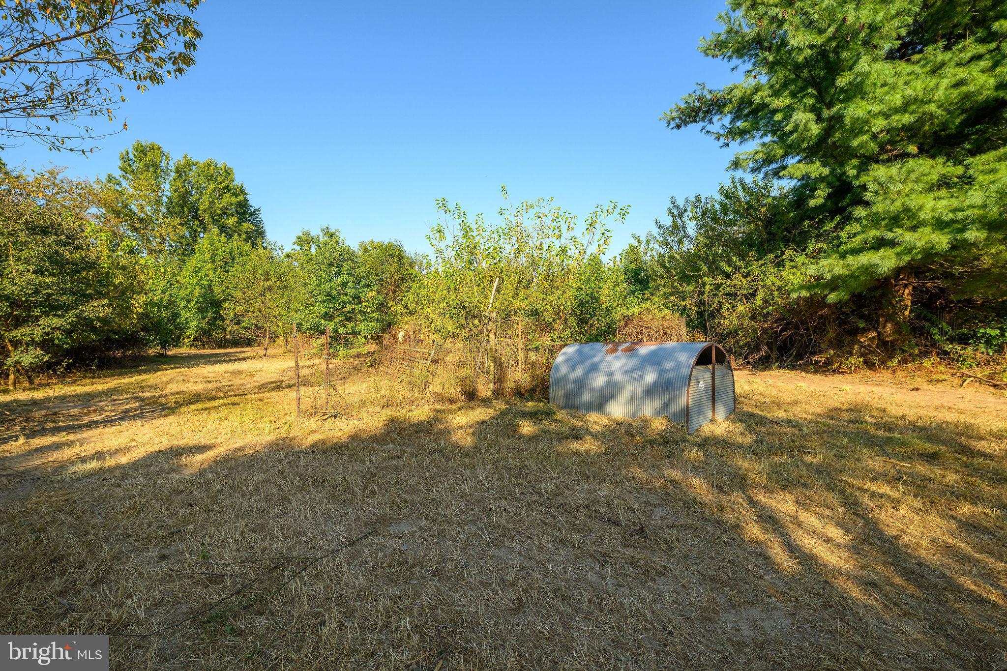 3182 Gun And Rod Club Road Houston, DE 19954 - Photo 23 of 32 a view of yard with large trees