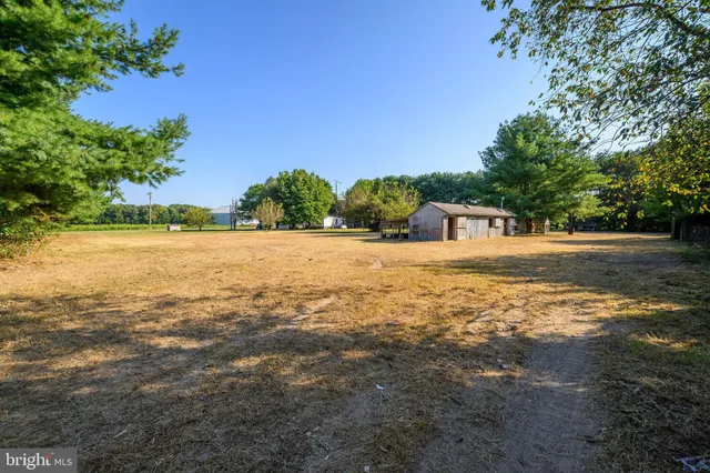 a view of backyard with green space