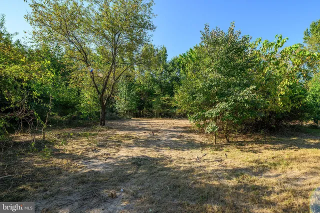 a view of backyard with green space