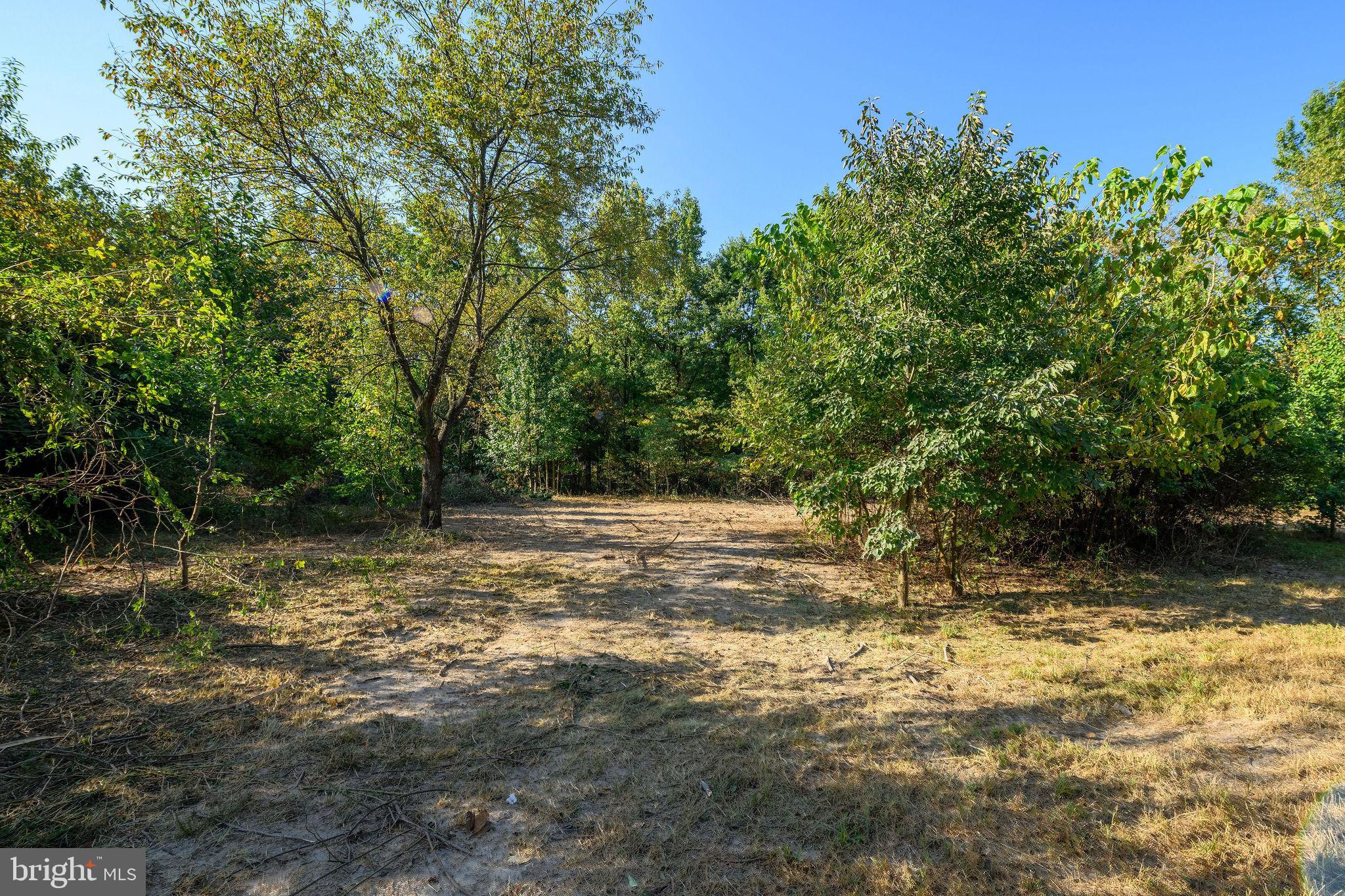 3182 Gun And Rod Club Road Houston, DE 19954 - Photo 25 of 32 a view of a yard with a tree