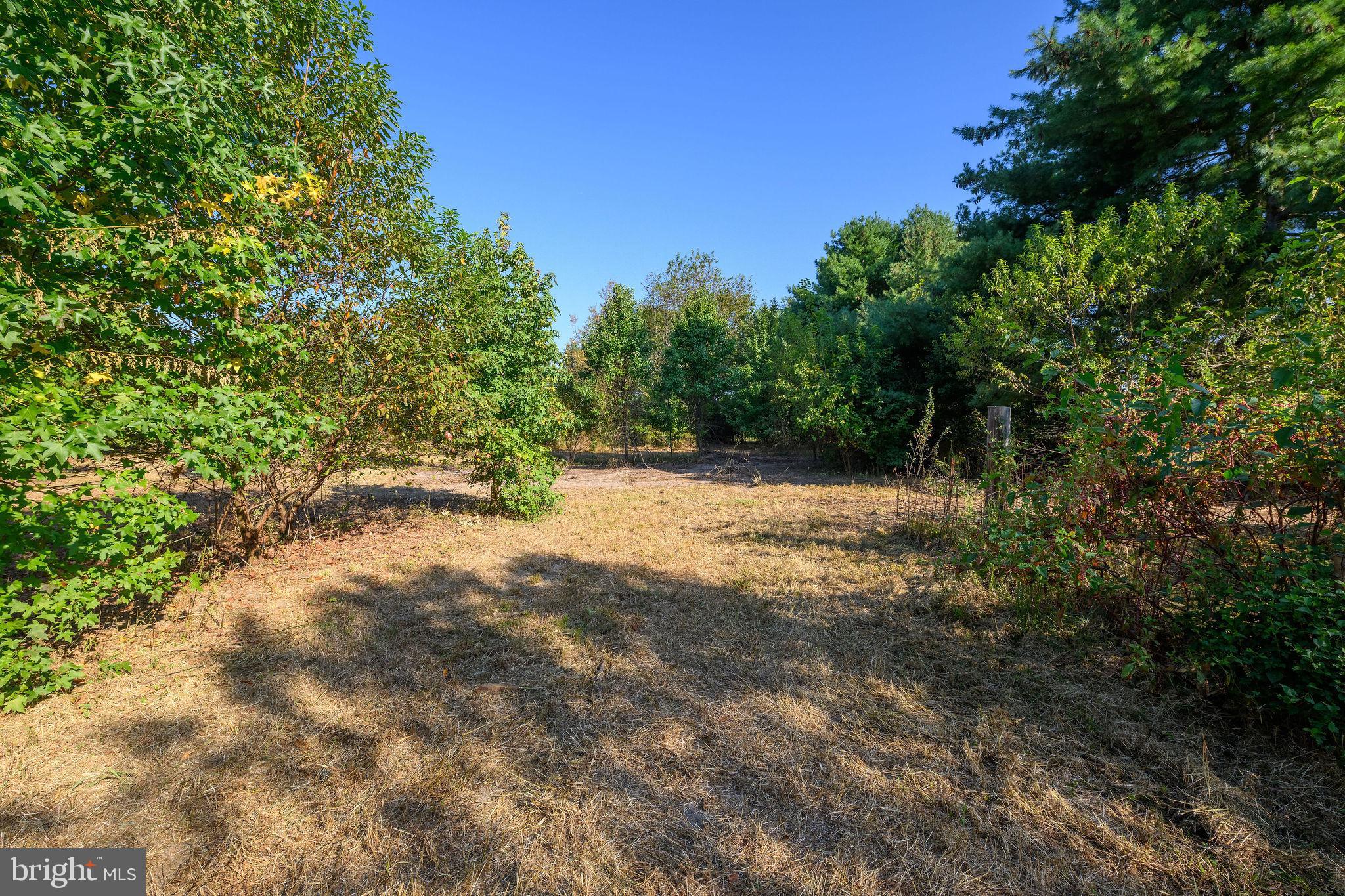 3182 Gun And Rod Club Road Houston, DE 19954 - Photo 26 of 32 a view of backyard with green space