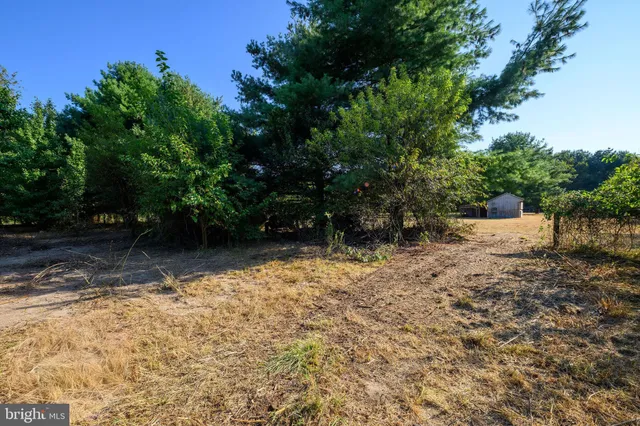 a view of backyard with green space