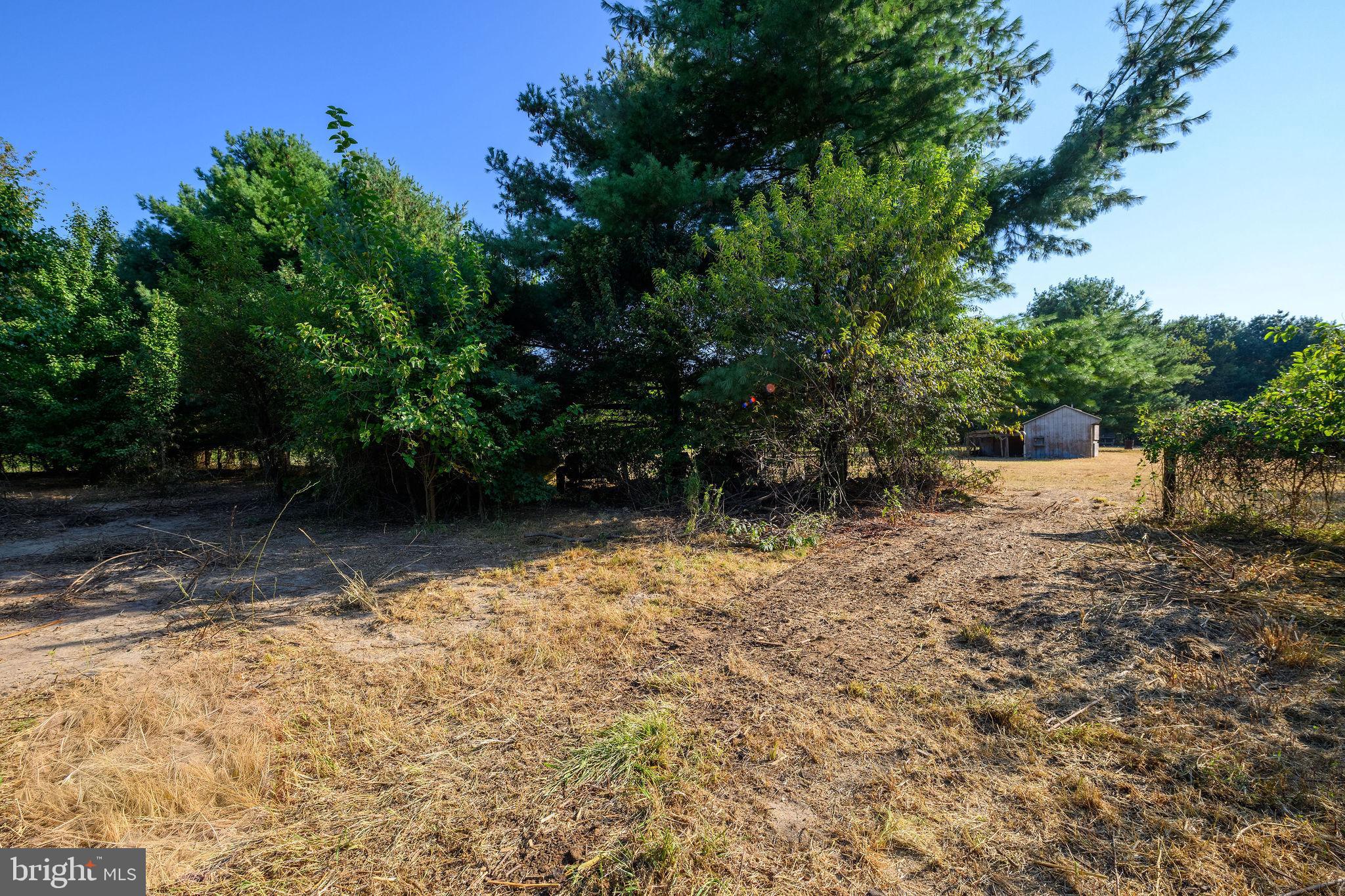 3182 Gun And Rod Club Road Houston, DE 19954 - Photo 28 of 32 a backyard of a house with lots of green space