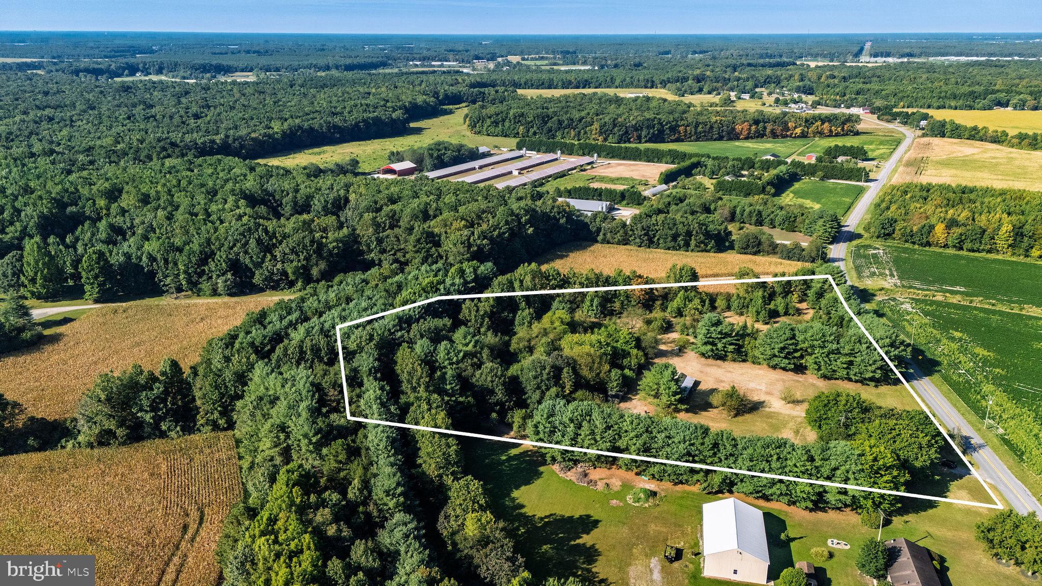 3182 Gun And Rod Club Road Houston, DE 19954 - Photo 4 of 32 an aerial view of house with yard swimming pool and mountains