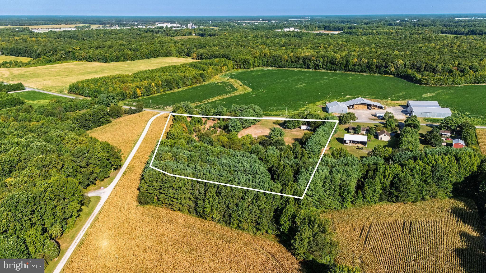 3182 Gun And Rod Club Road Houston, DE 19954 - Photo 5 of 32 a view of a field with an ocean