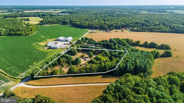 a view of a garden with a lake