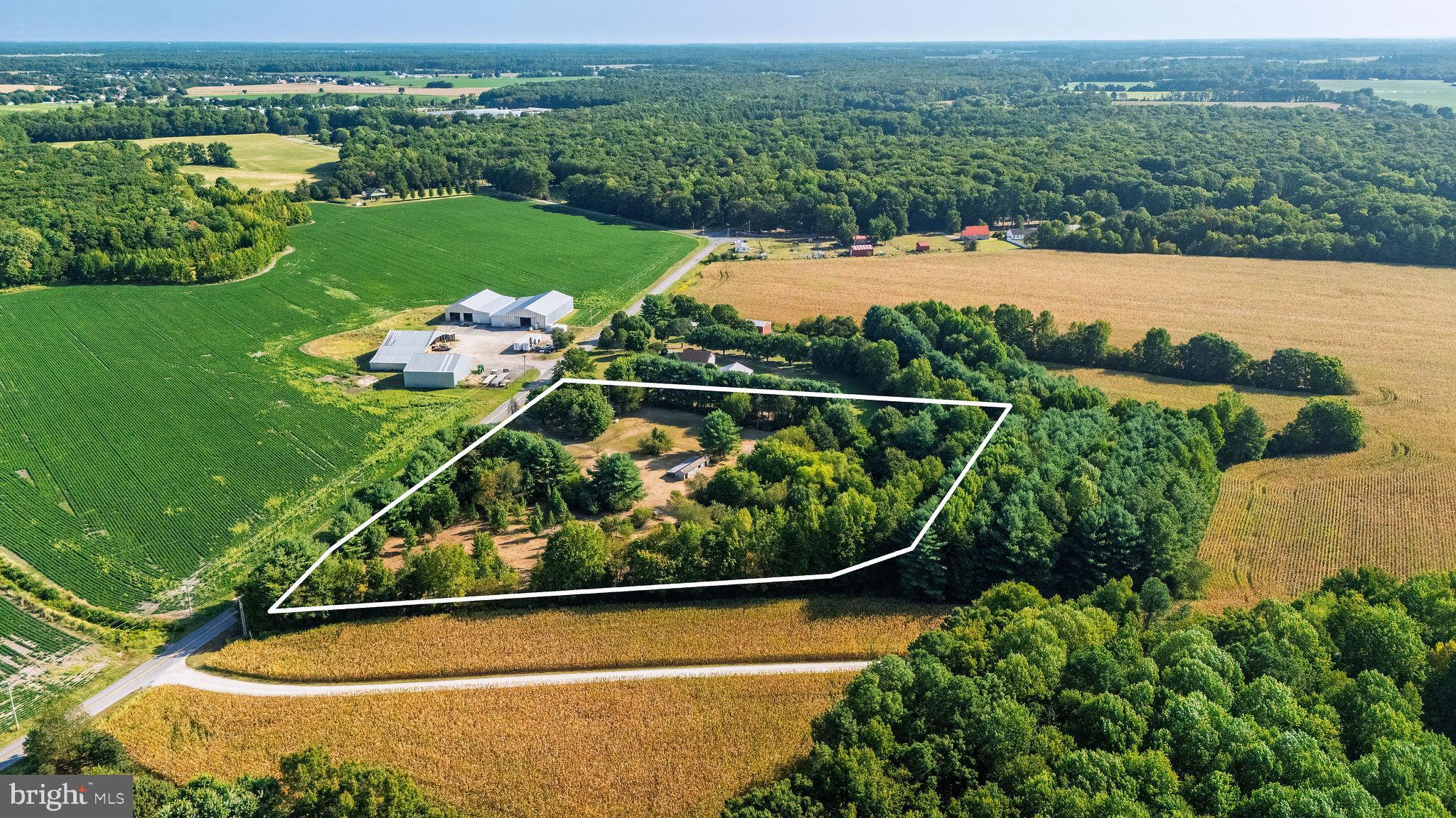 3182 Gun And Rod Club Road Houston, DE 19954 - Photo 7 of 32 an outdoor view with garden