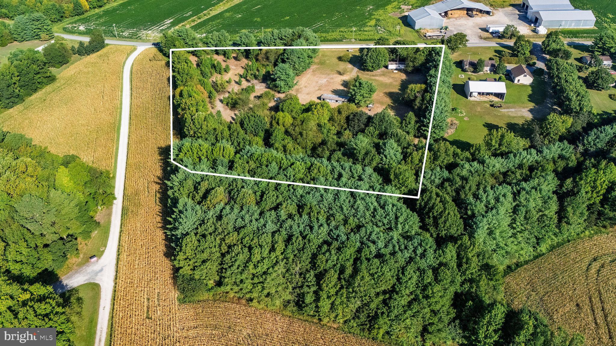 3182 Gun And Rod Club Road Houston, DE 19954 - Photo 10 of 32 a view of a yard