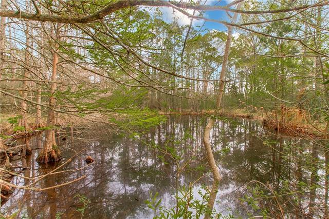 26000 Robertson Road Holden, LA 70744 - Photo 7 of 34