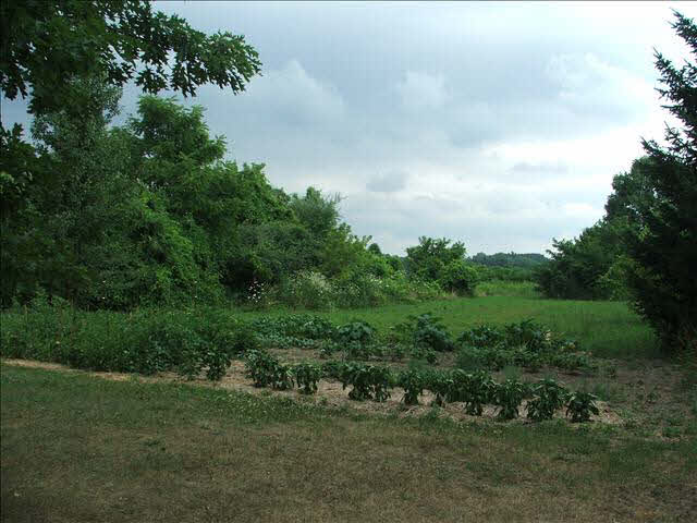 680 West Vienna Road Temperance, MI 48182 - Photo 14 of 20 Land