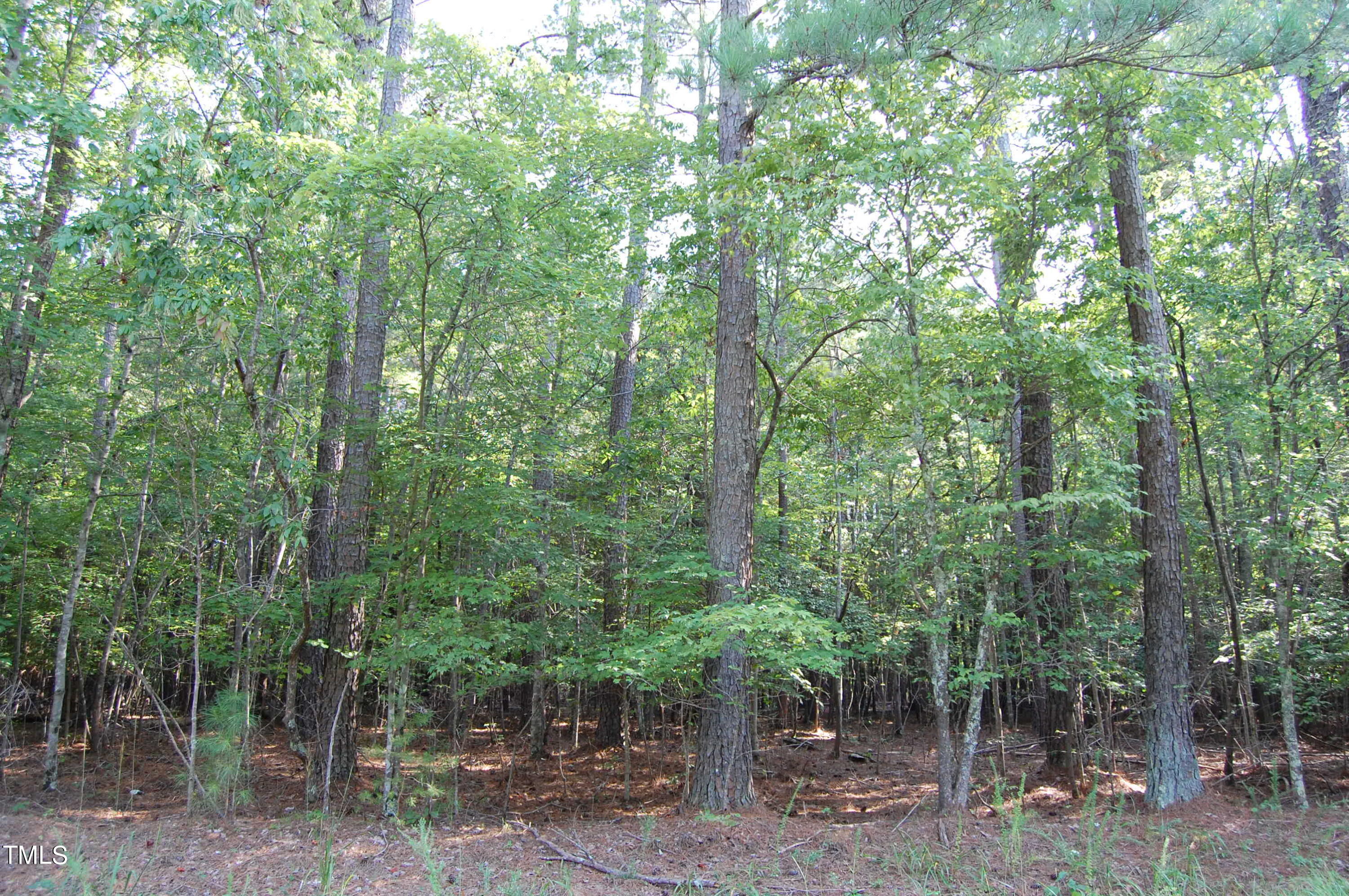 0 Tom Webb Road Roxboro, NC 27574 - Photo 2 of 11 DSC_0410