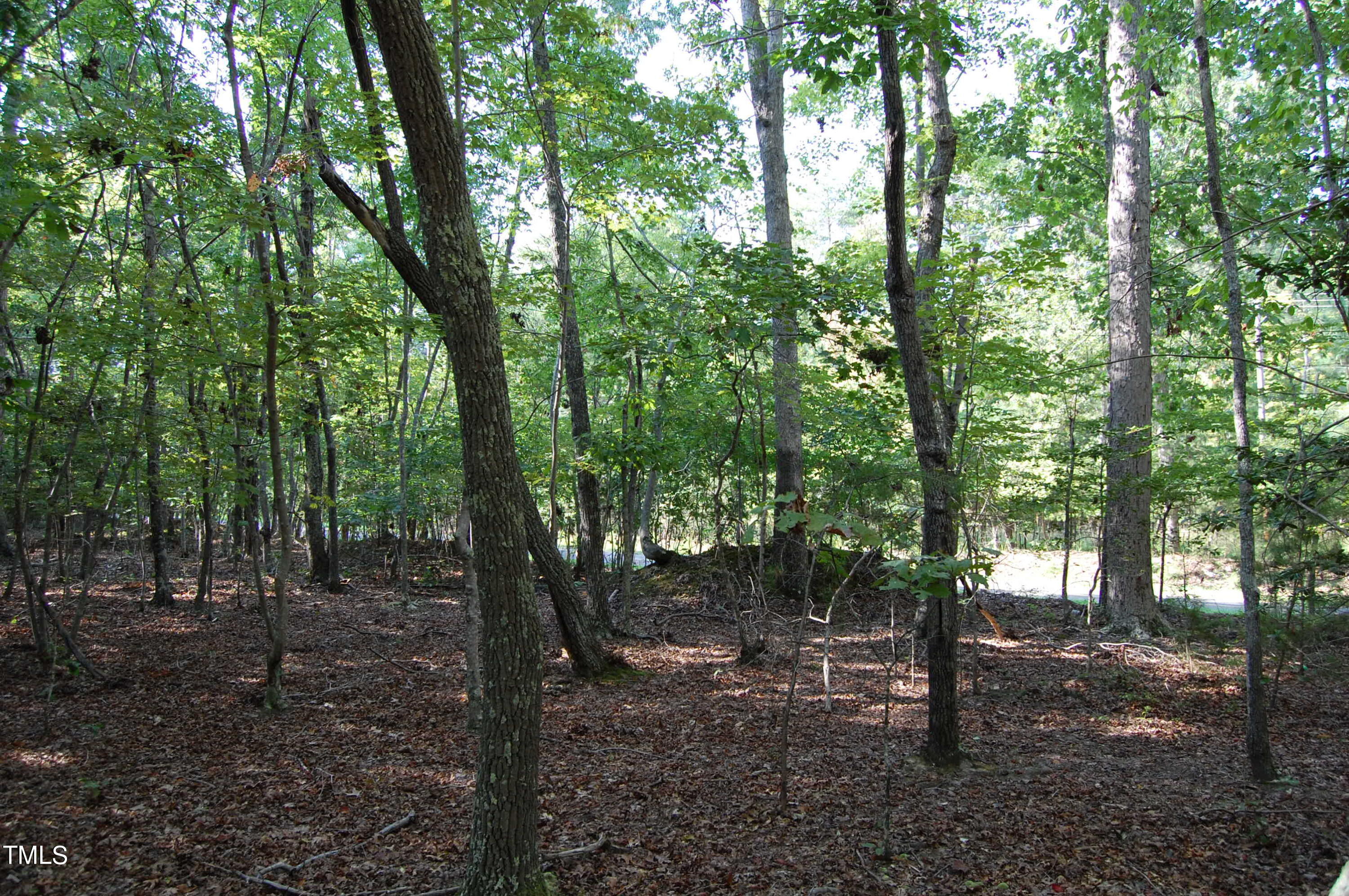 0 Tom Webb Road Roxboro, NC 27574 - Photo 5 of 11 DSC_0413