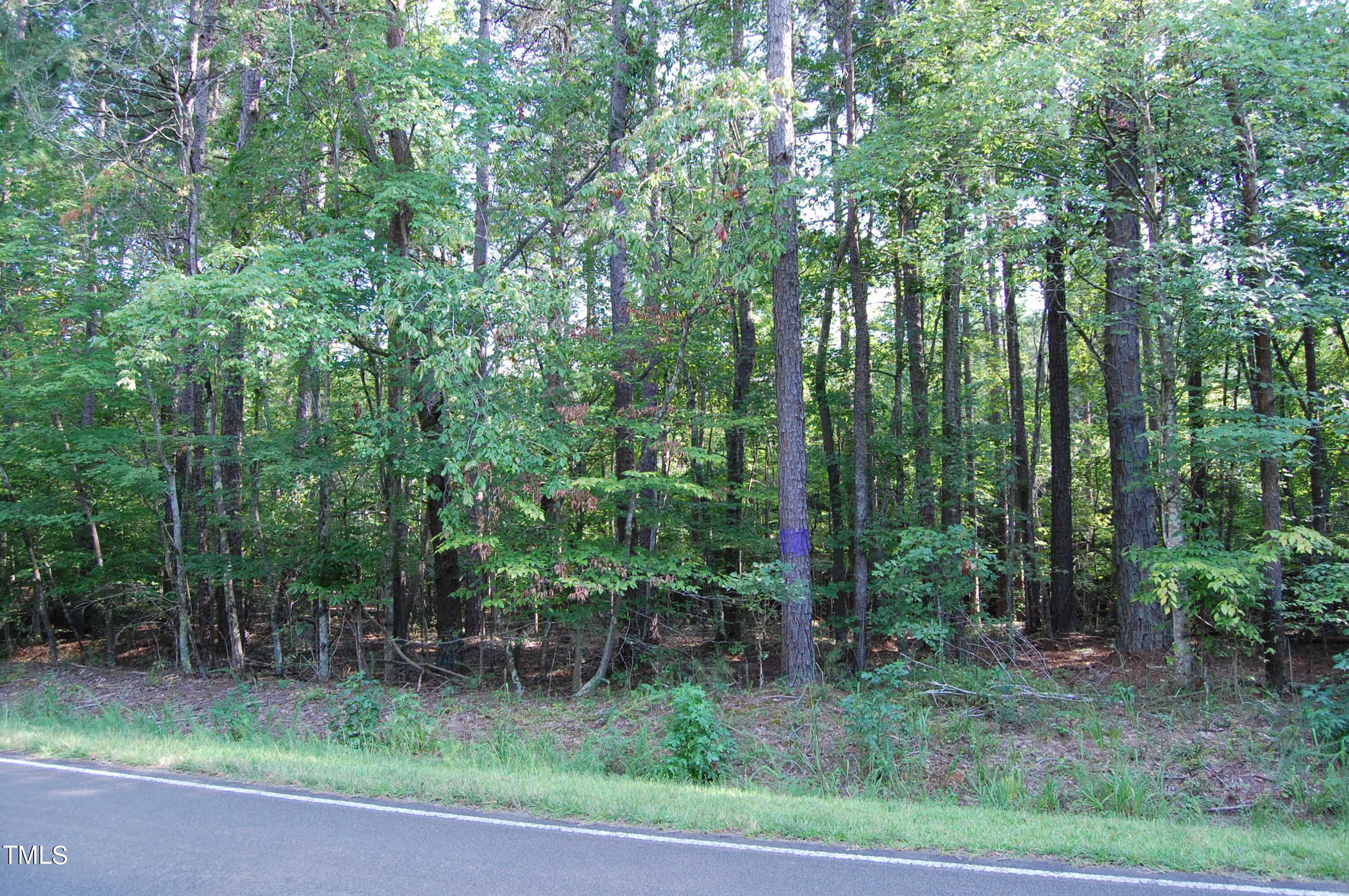 0 Tom Webb Road Roxboro, NC 27574 - Photo 7 of 11 DSC_0423