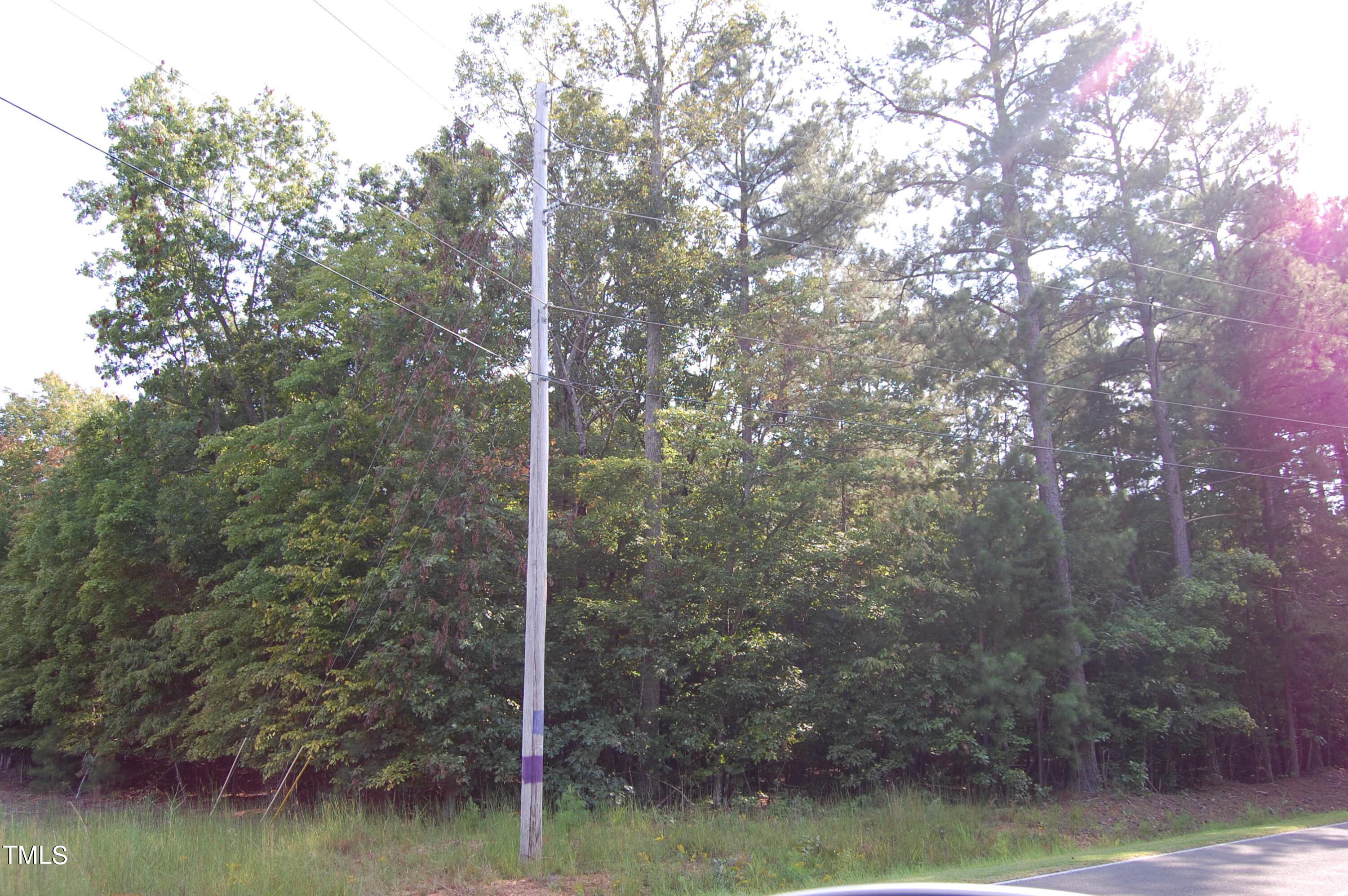 0 Tom Webb Road Roxboro, NC 27574 - Photo 8 of 11 DSC_0409