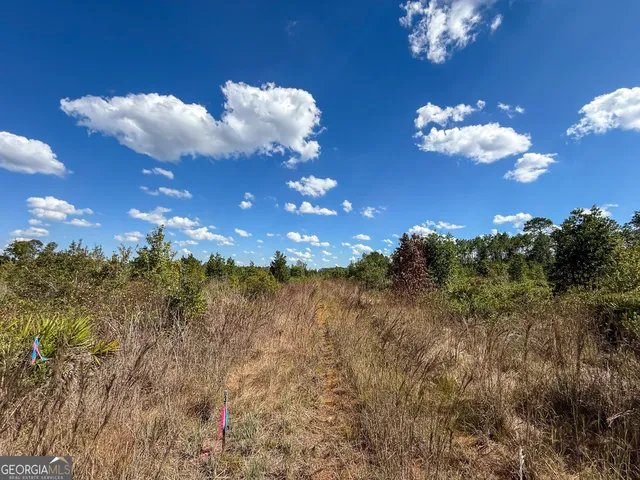 $142,600 | 0 Highway 84, Unit 3, Homerville, GA 31634