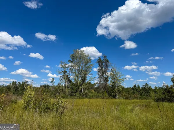 a view of a lake in middle of forest