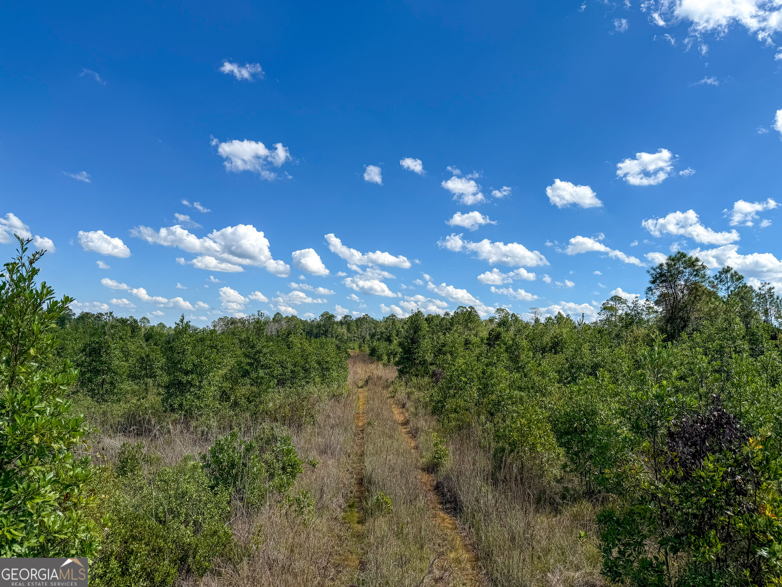0 Highway 84, Unit 3 Homerville, GA 31634 - Photo 4 of 11 a view of a city