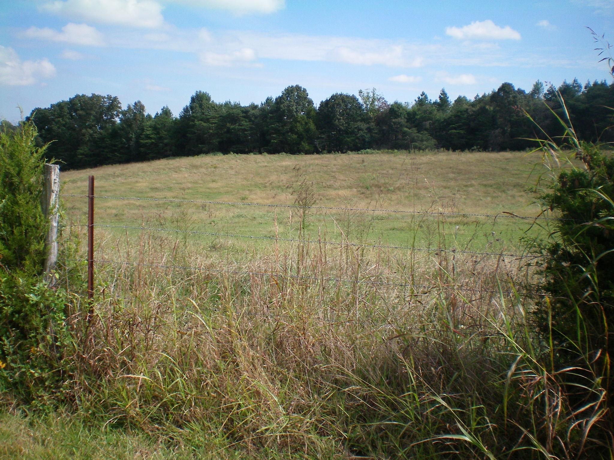 14880 Flatwoods Road Sweetwater, TN 37874 - Photo 8 of 8 103_4233