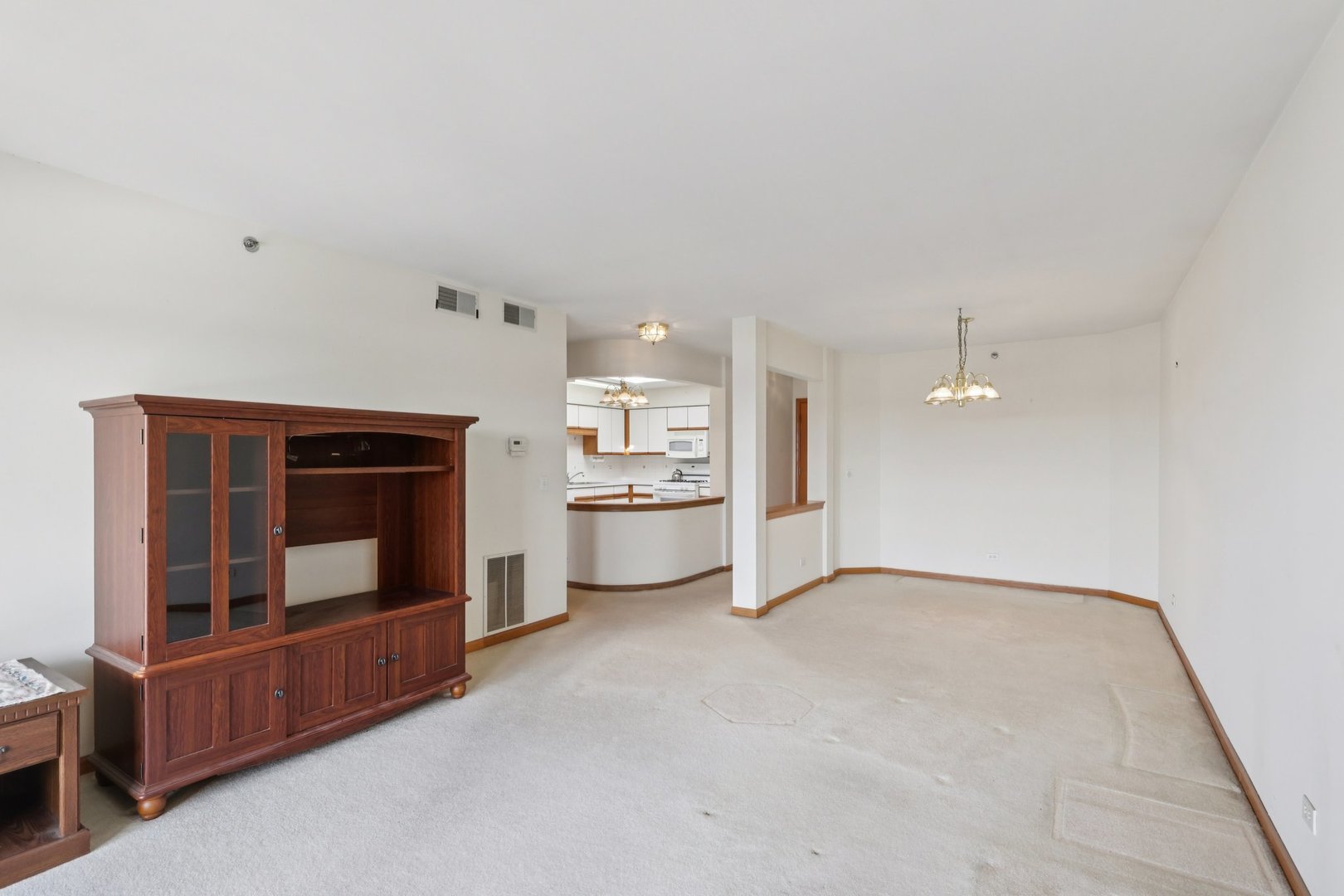 7450 North Waukegan Road, Unit 505 Niles, IL 60714 - Photo 6 of 30