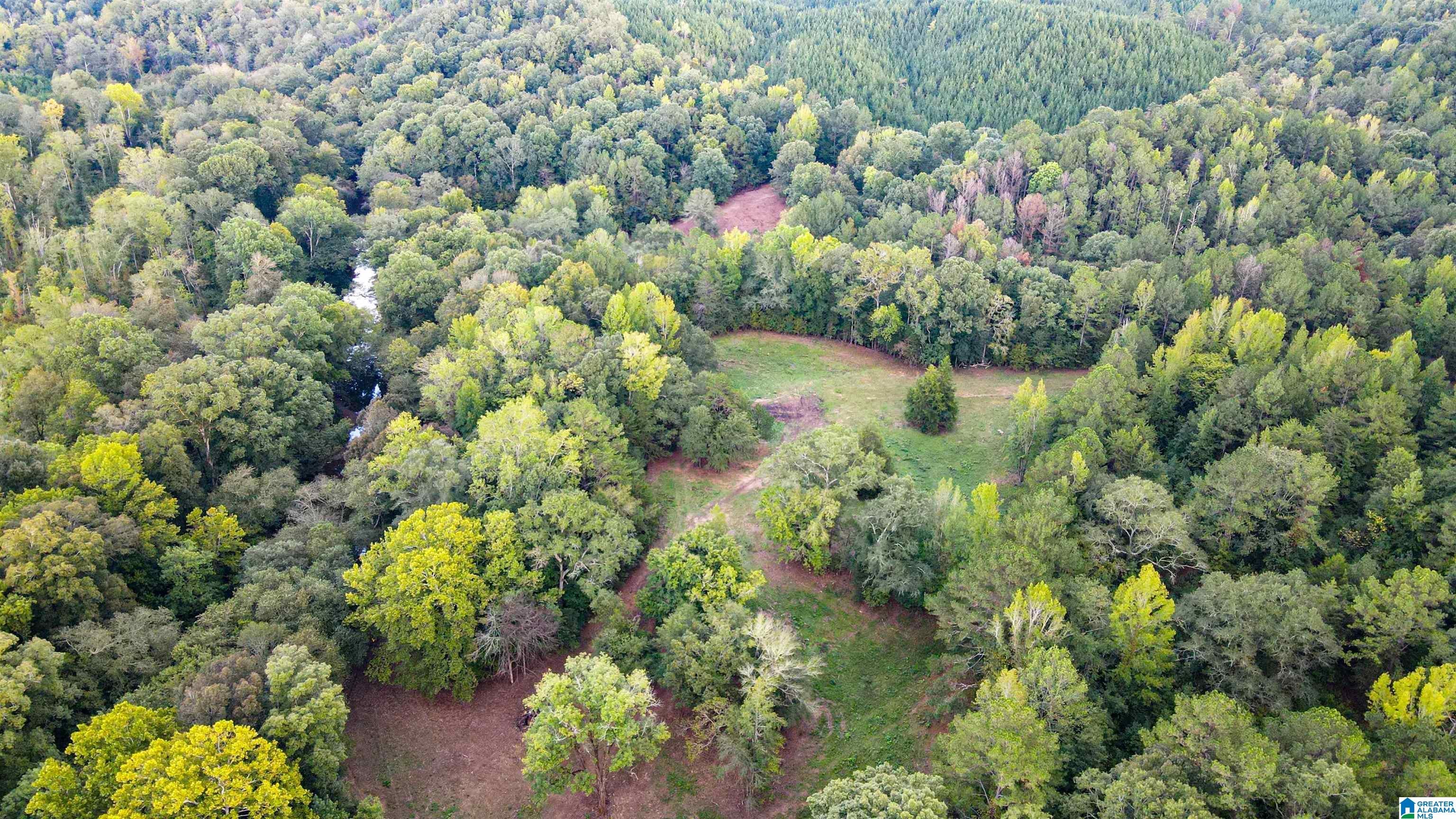 1 Sawyers Cove Road Calera, AL 35040 - Photo 4 of 62 Gallery Image 4