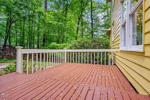 a picture of outdoor space with lots of trees and trees