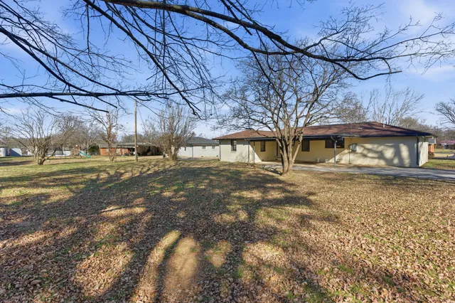 a view of a yard with plants and trees