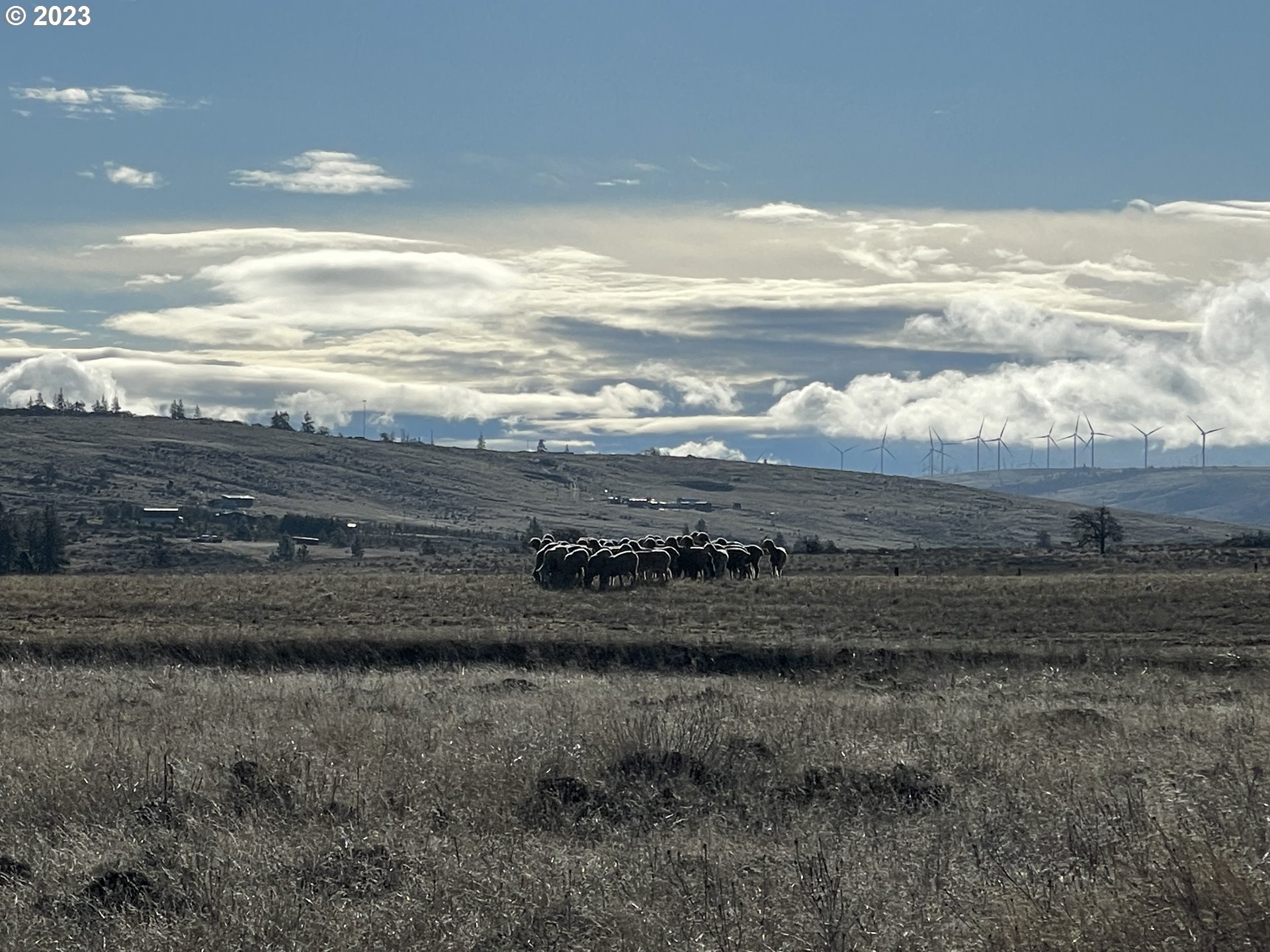 780 Saxton Bane Road Goldendale, WA 98620 - Photo 25 of 28 Gallery Image 25