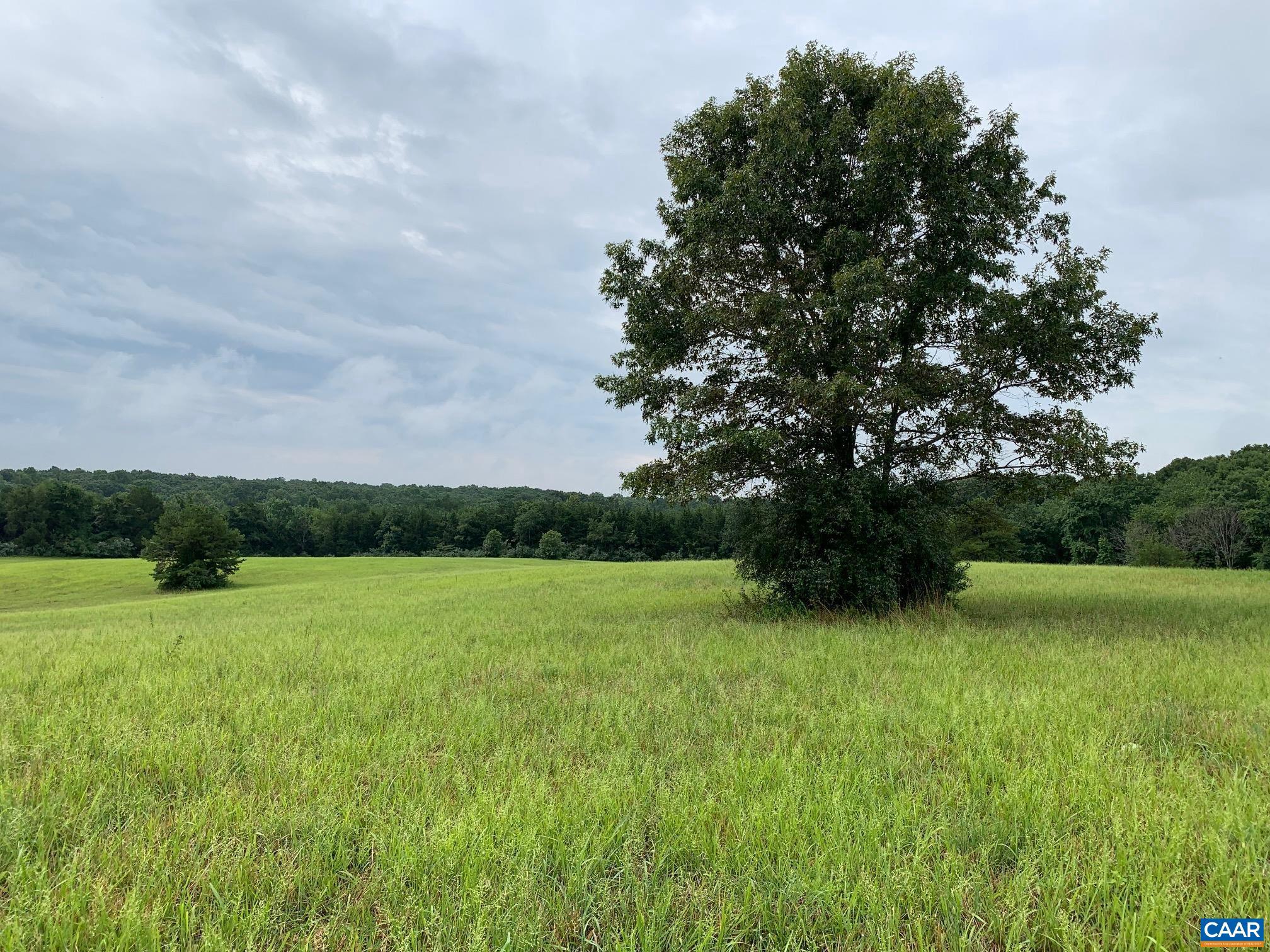 11-76 Indiantown Road, Unit 76 Locust Grove, VA 22508 - Photo 5 of 11 Gallery Image 5