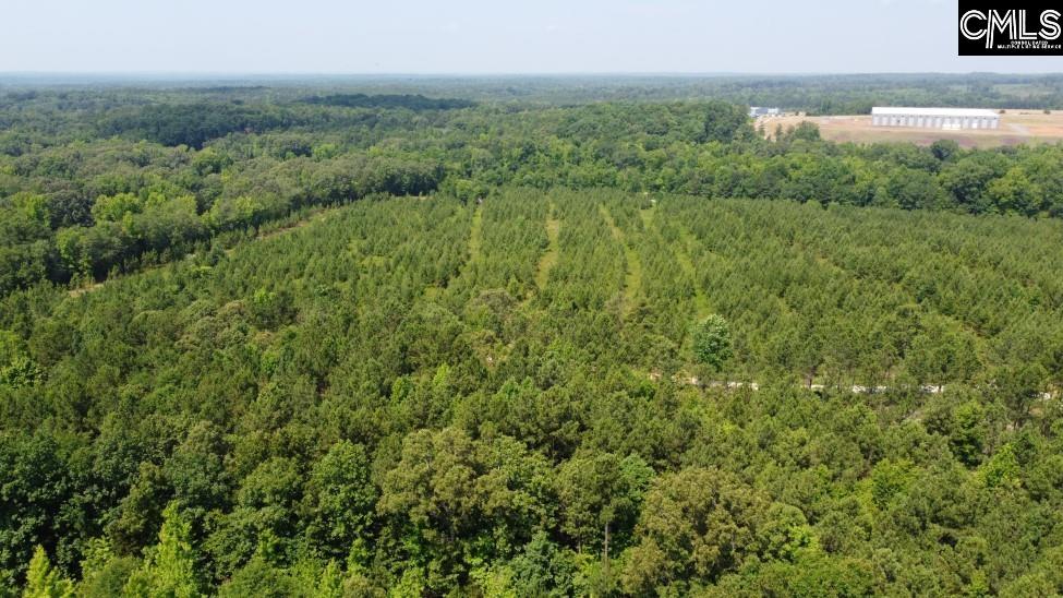 4129 Peach Road Ridgeway, SC 29130 - Photo 34 of 35