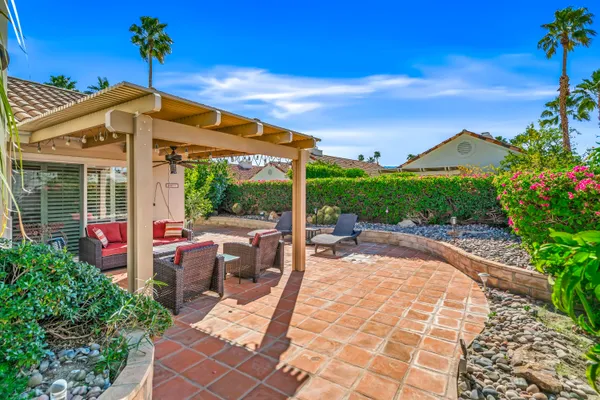 a view of a garden with plants and a large tree