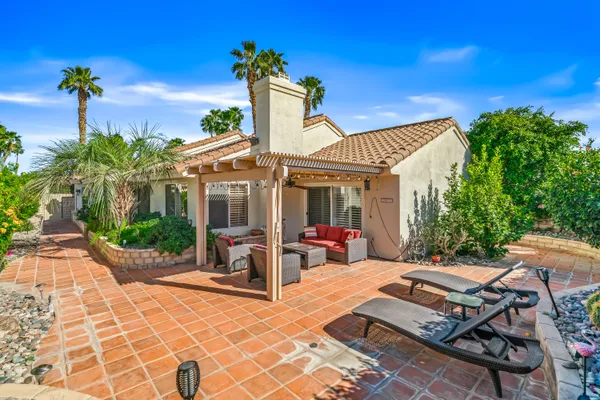 a view of a swimming pool with a lawn chairs and palm tree