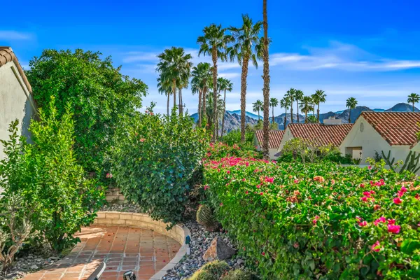 a view of a swimming pool with lawn chairs and a lawn chairs with plants
