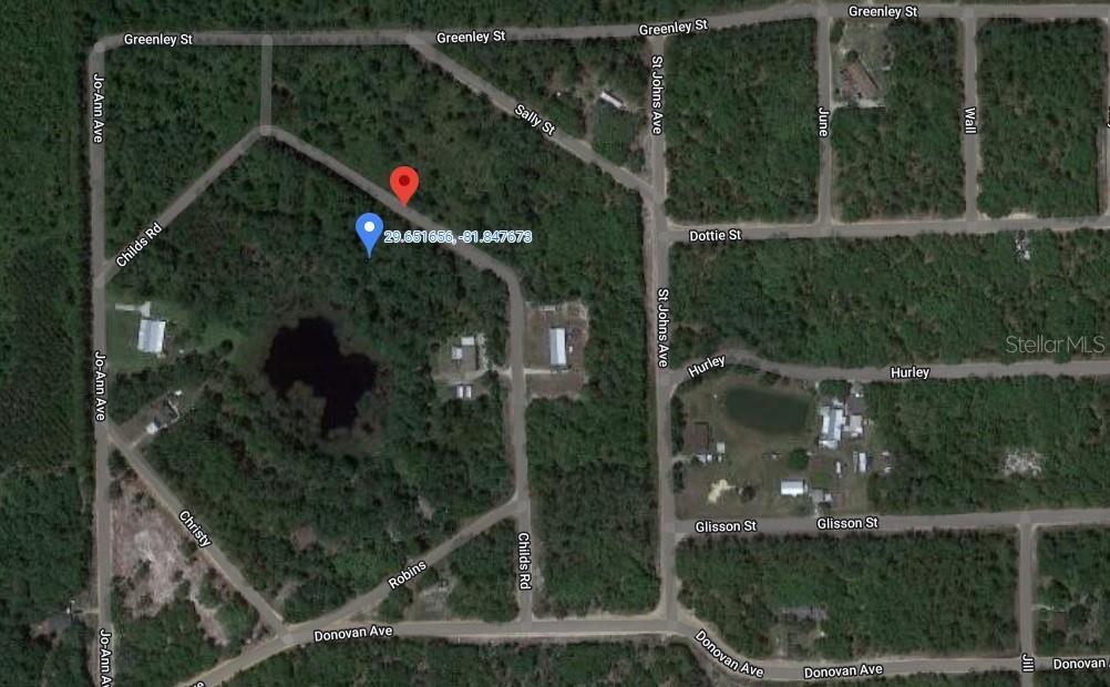 0 Childs Road Interlachen, FL 32148 - Photo 3 of 3