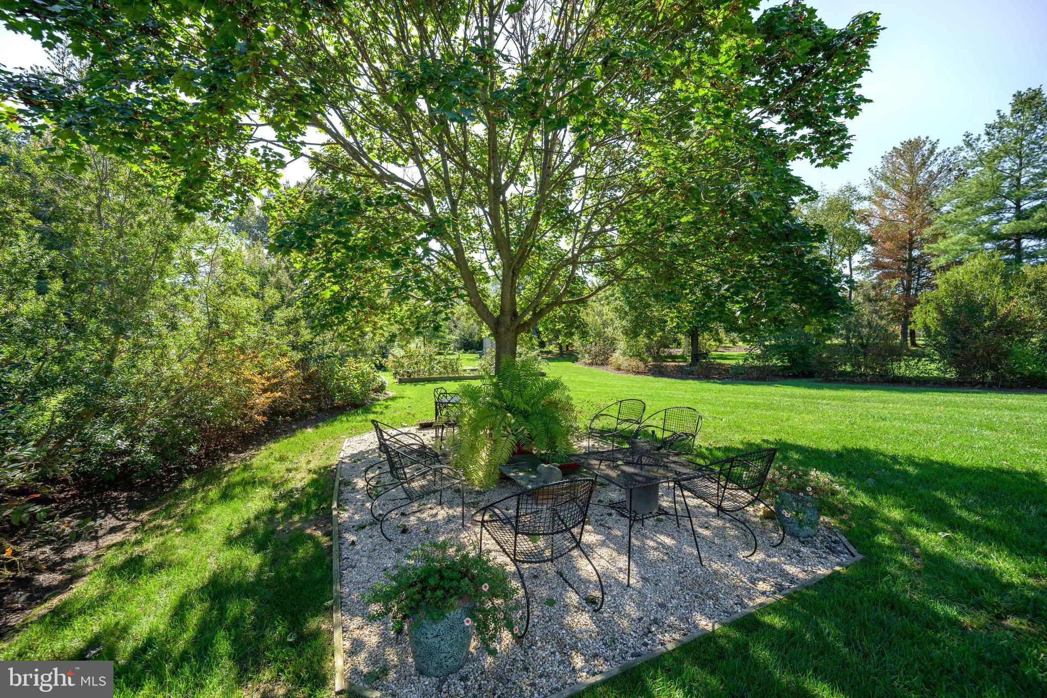 7844 Chester Court Chestertown, MD 21620 - Photo 36 of 51 a view of yard with green space