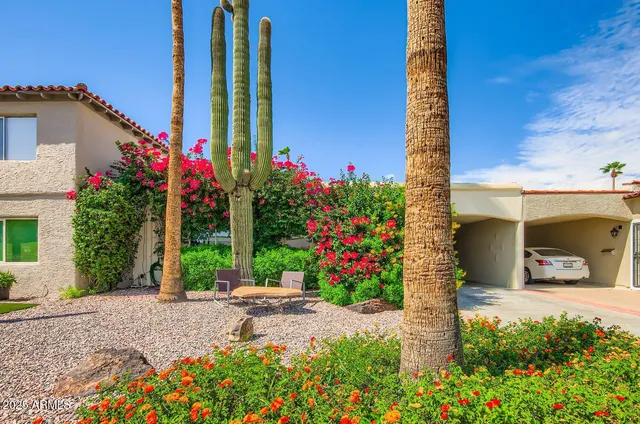 a view of a house with a yard and potted plants