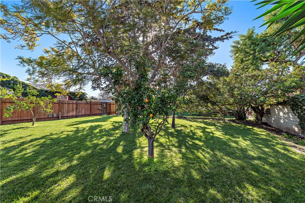 1209 C. Toledo San Clemente, CA 92672 - Photo 8 of 47 a view of a lush green space