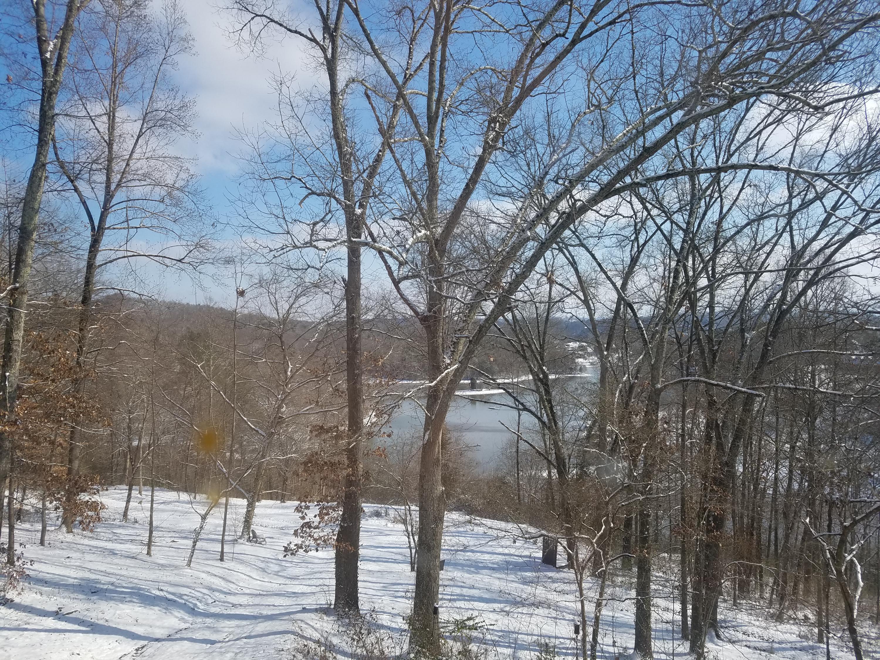 3167 Logan Hill Road Louisville, TN 37777 - Photo 11 of 40 Winter lake view