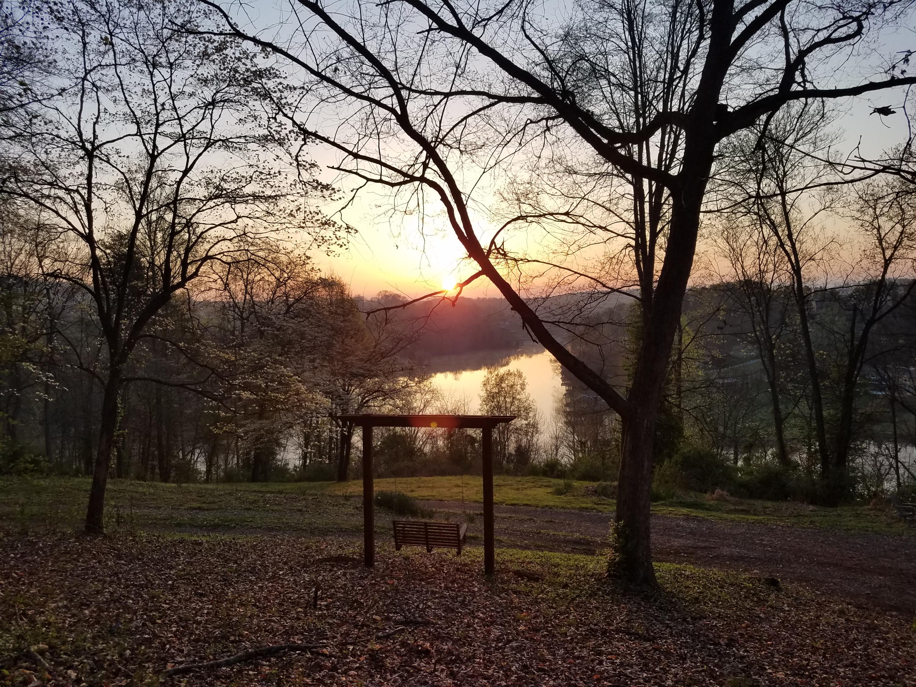 3167 Logan Hill Road Louisville, TN 37777 - Photo 5 of 40 sunrise lake view from house