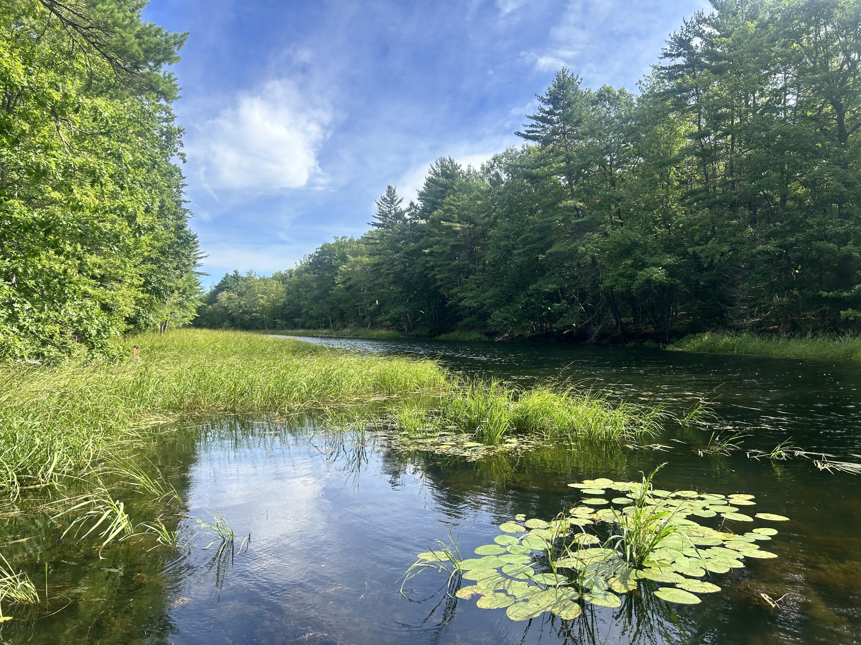 96 Cold Stream Road West Gardiner, ME 04345 - Photo 1 of 26 IMG_7537