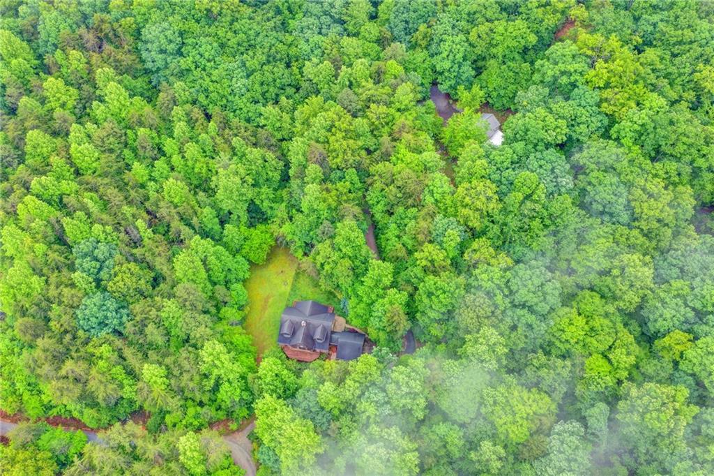 82 Walnut Grove Lane Tiger, GA 30576 - Photo 86 of 88 a view of a lush green forest