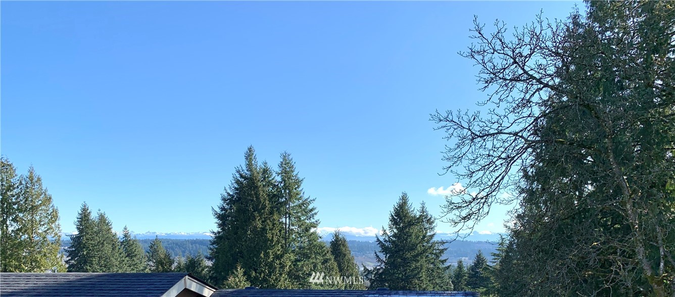 21632 2nd Court Southeast Bothell, WA 98021 - Photo 8 of 21 a view of a city with lush green forest