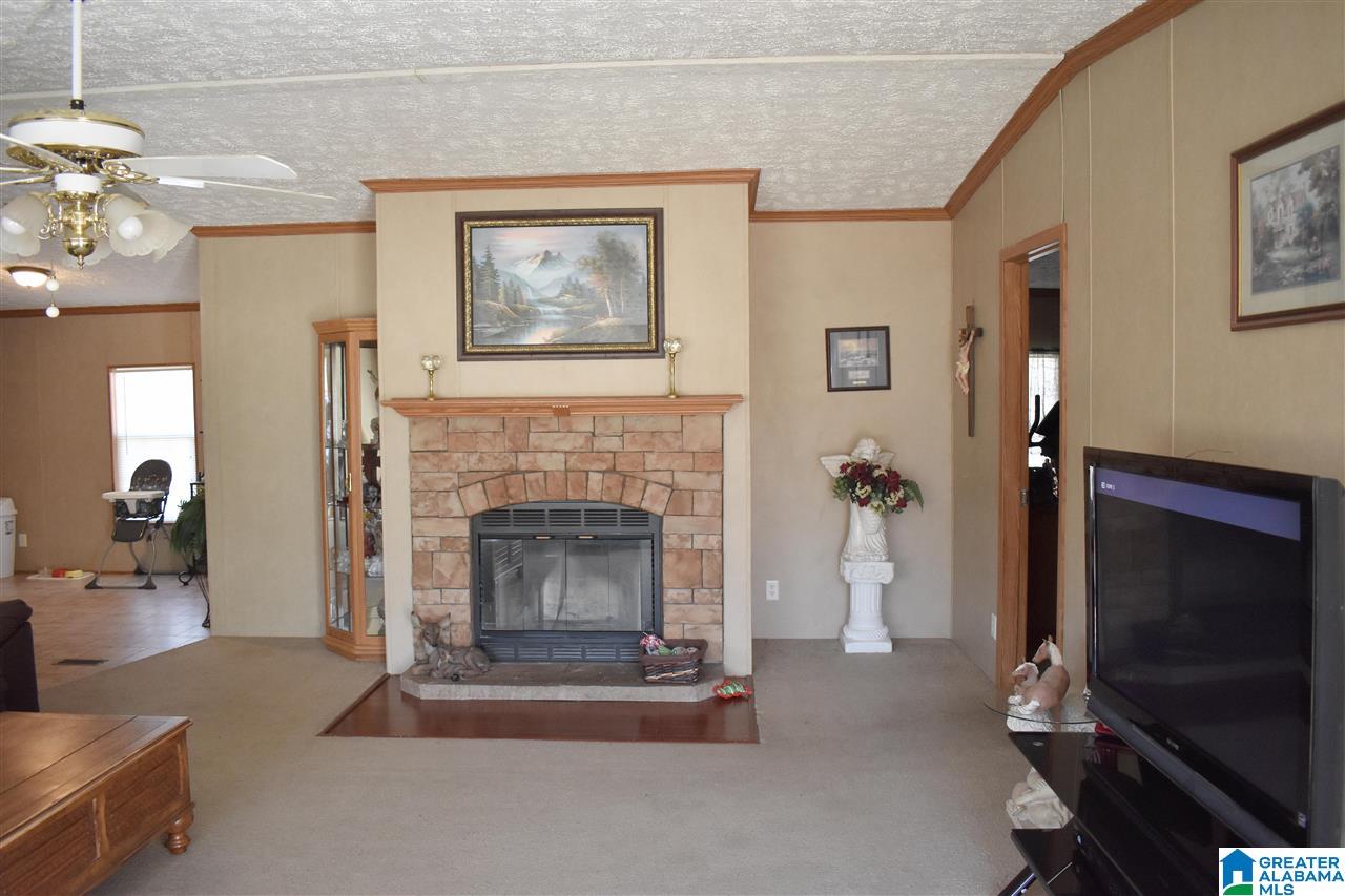 49 Jim Bagwell Road Empire, AL 35063 - Photo 5 of 16