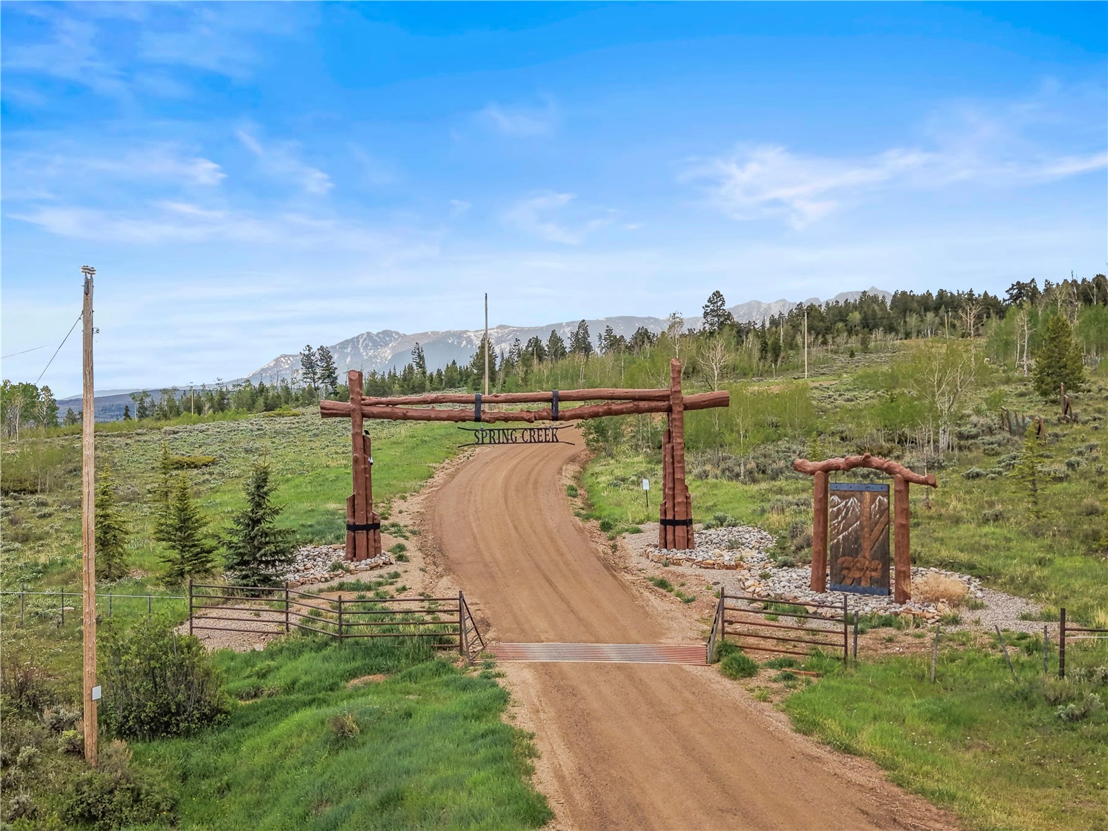 336 Blue Spruce Road Silverthorne, CO 80498 - Photo 9 of 28