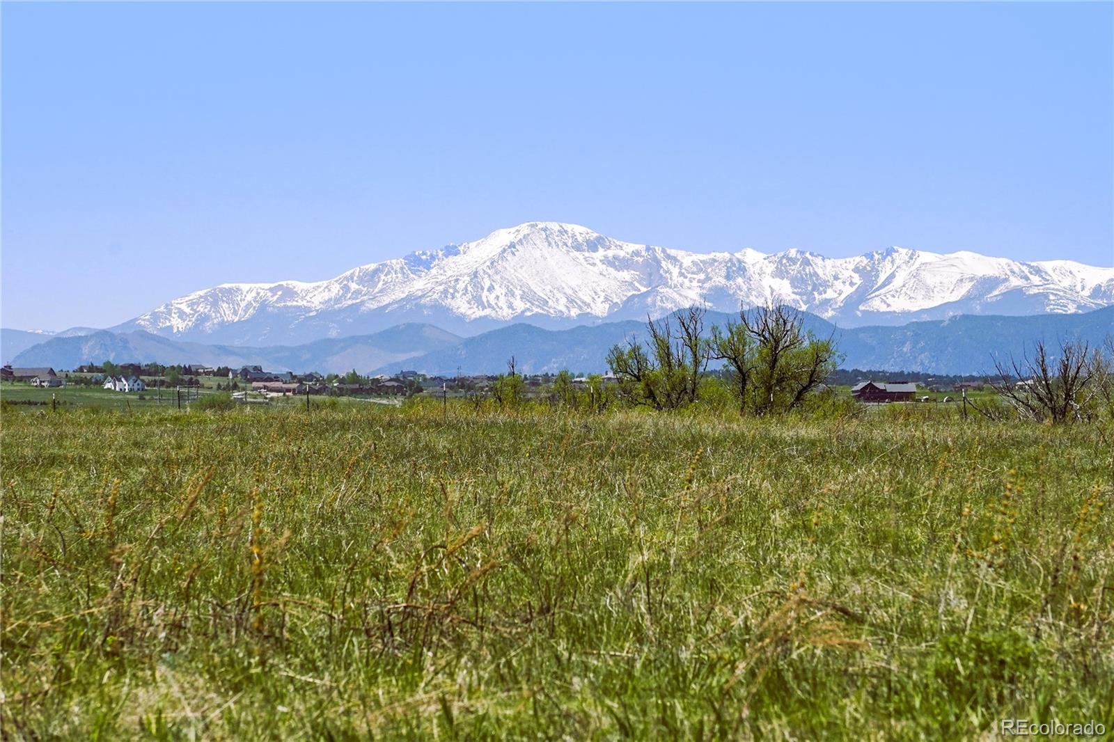 4 Lorraine Road Larkspur, CO 80118 - Photo 18 of 24 Gallery Image 18