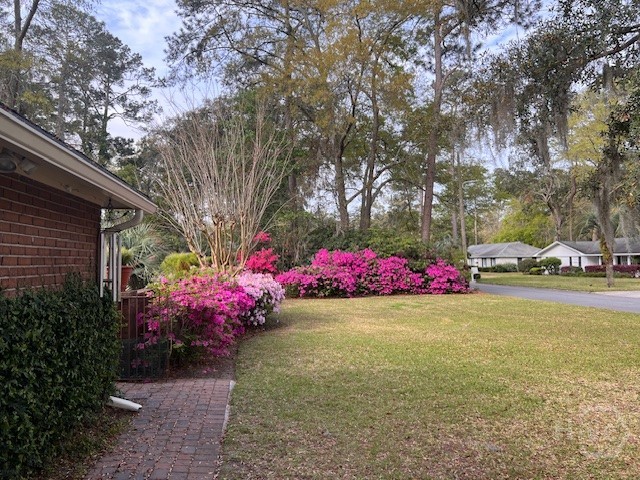 35 Clarendon Road Savannah, GA 31410 - Photo 39 of 41 Azaleas blooming in side yard