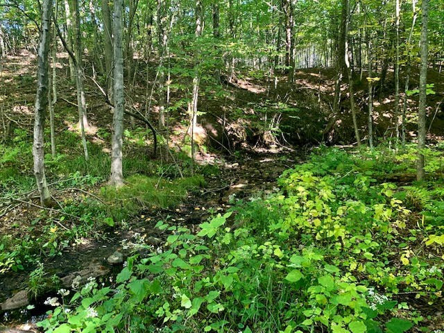 253 Reservoir Road Peru, NY 12972 - Photo 19 of 35