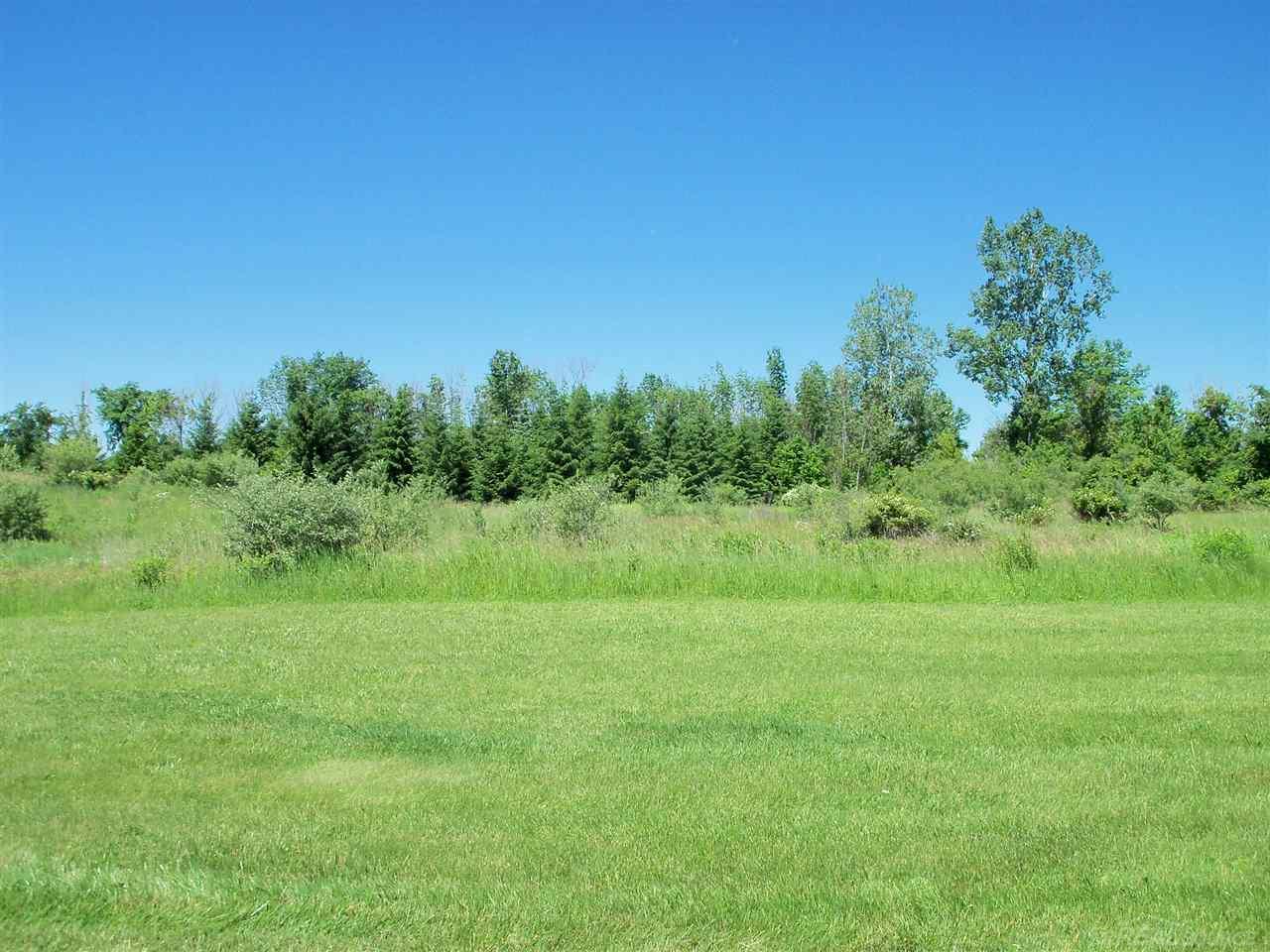 1800 South Ridge Road Carsonville, MI 48419 - Photo 33 of 36 31248603-32.JPG
